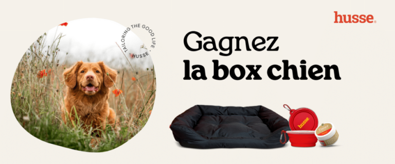 Tentez de gagner une fabuleuse box été pour chien avec Husse